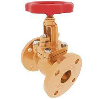 Globe Valve (SDNR)