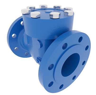 Check Valve